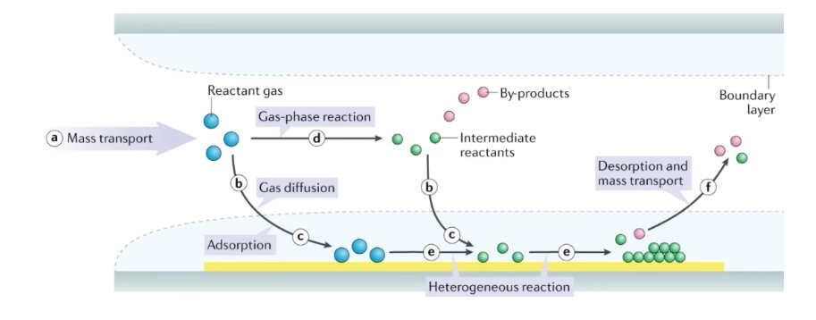 CVD(Chemical Vapor Deposition) System